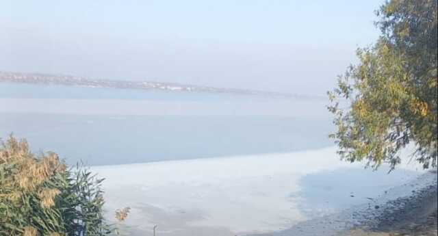 З’явилося фото Південного Бугу у Миколаєві з гігантською плямою соняшникової олії