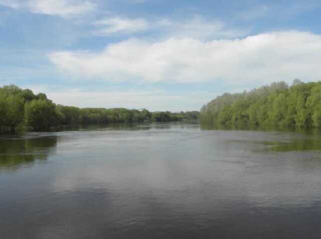 Нацгвардійці виловили ікони з річки в Чернігові