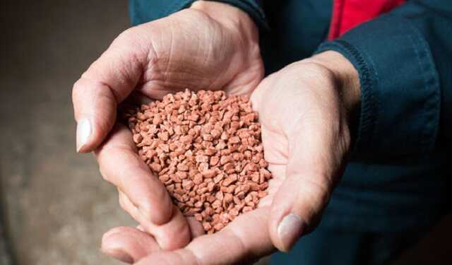 Нідерланди дозволили відправити до Африки російські добрива, що застрягли через санкції