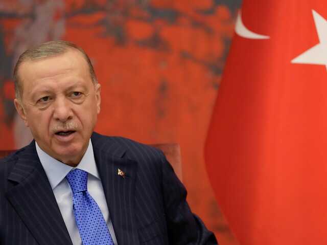 Туреччина хоче перетворити "зерновий коридор" у шлях до миру, - Ердоган