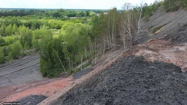 В Житомирській області бізнесмен забруднював ліс відходами
