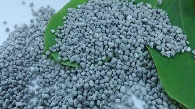 Перший корабель з російськими добривами днями вирушить до Африки - ООН