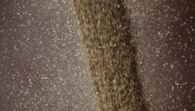 Оккупанты вывозят украинский урожай из Мариупольского района