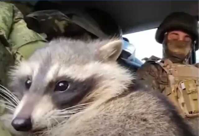 Полонений російський окупант попросив обміняти його на херсонського єнота