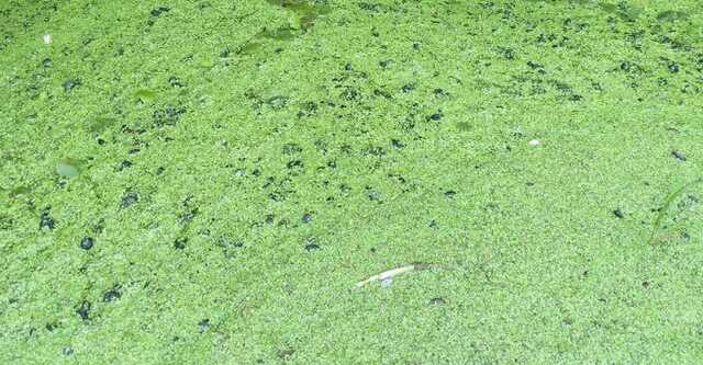 В Україні двом комунальникам вперше вручили підозри у вчиненні екоциду