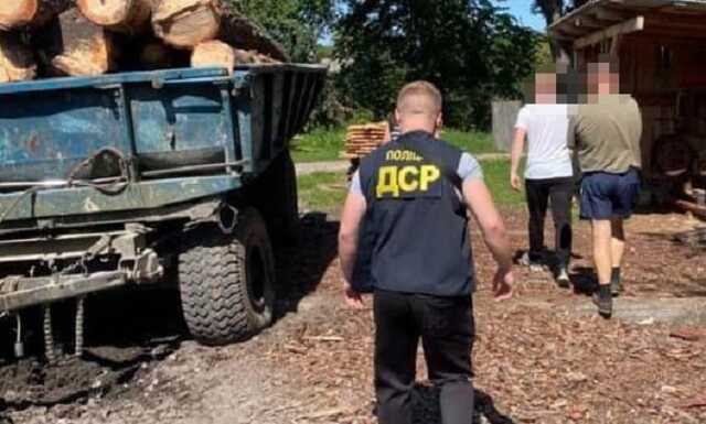 На Львівщині керівник державного лісового господарства займайся незаконними порубками