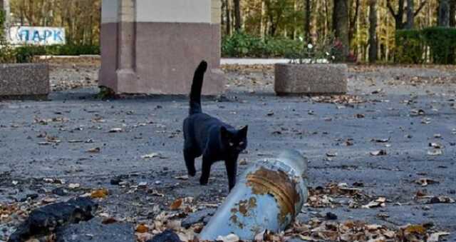 В Купянском районе эксгумировали тела трех человек, погибших от рук оккупантов