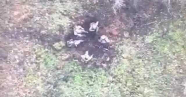 "Вечірка" не вдалася: українські військові показали яскраві кадри роботи з дрона по окупантах