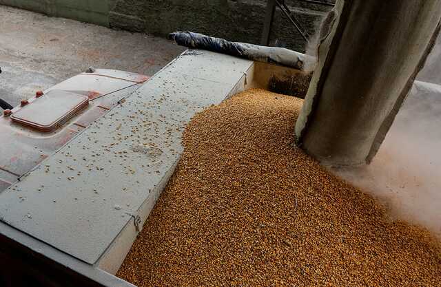 Крадене в Україні зерно возили судна найбільшого зернотрейдера Росії: WSJ розкрило схему