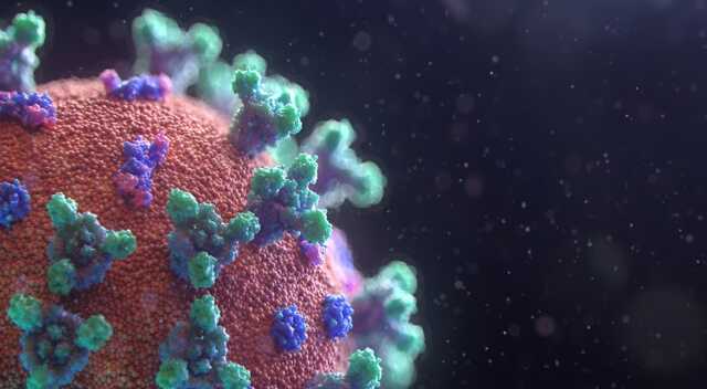 ВООЗ: Близько 90% населення світу мають імунітет до COVID-19