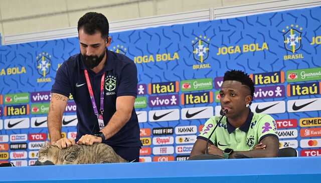 Представник Бразилії на ЧС-2022 викинув кішку під час пресконференції