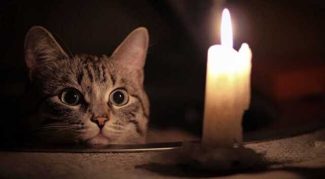 Які типи відключень світла діють в Україні: у ДТЕК пояснили різницю