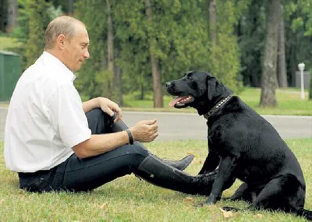 Василь Рибніков: Навіщо росіяни хочуть скидати на українську армію собак, а краще нерпу?