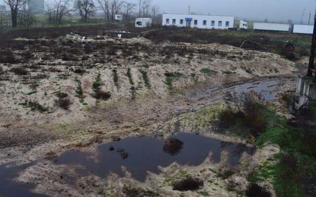 Є загроза бактеріального зараження: у Чорнобаївці масовий мор птахів через ЗС РФ