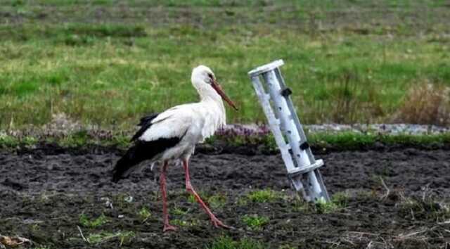 Путінський «мінний терор»: «Заміновані іграшки, тварини та мертві тіла»