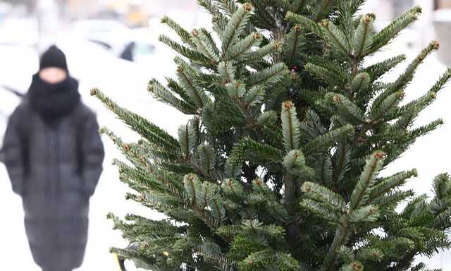 У Києві відкрилися ялинкові ярмарки