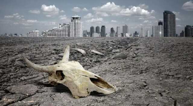 Майже третина видів: суперкомп’ютер передбачив масове вимирання до кінця цього століття