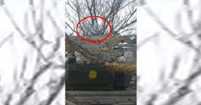 Два російські дрони-камікадзе заплутались у маскувальній сітці і не змогли знищити український танк