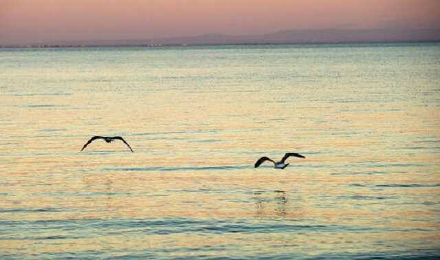 Туреччина виявила у Чорному морі поклади 58 млрд кубів природного газу, — Ердоган