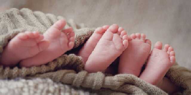 Відразу троє козачат: на Новий рік у Києві народилася трійня