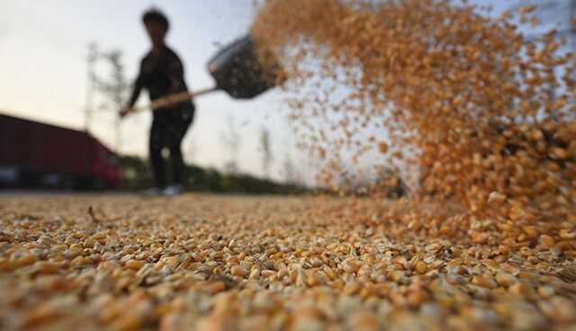 У 2022 році світові ціни на продовольство досягли рекордного рівня - ООН