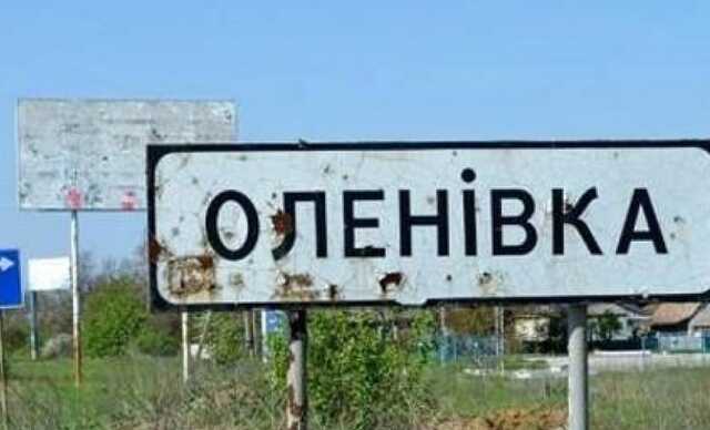 Лубінець присоромив ООН за розпуск комісії щодо трагедії в Оленівці