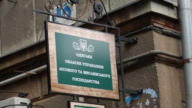 Одесское лесное хозяйство потеряло 41 млн гривен из-за неэффективного управления