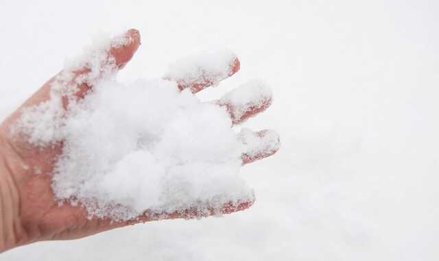 “Путін л*х, наївся бліх”: У Києві діти залишили послання російському диктатору