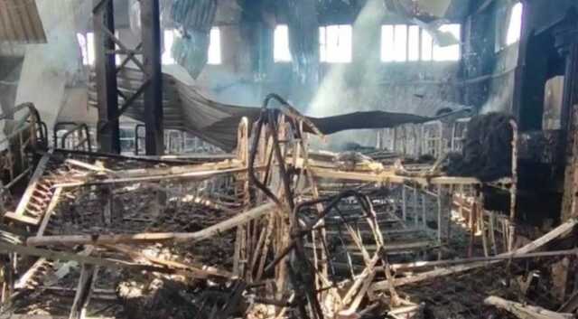 "Шалені крики розносилися по всій колонії": лікар розкрив моторошні подробиці теракту в Оленівці