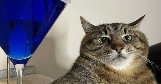 ʳ-       Times Monaco