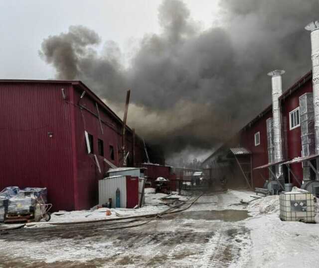 Під Москвою прогримів вибух на металургійному заводі, спалахнула потужна пожежа