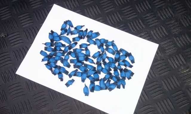 Поліція викрила наркокартель у Житомирській області