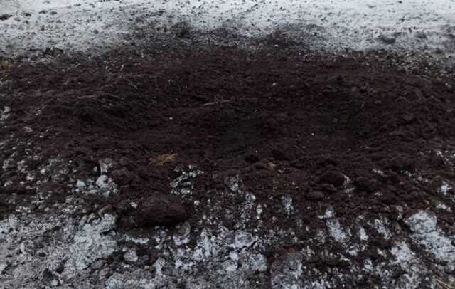 Окупанти двічі обстріляли прикордоння Чернігівської області, - ОК "Північ"