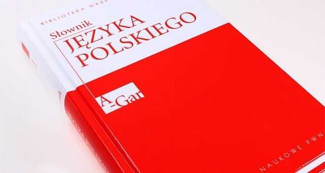 Польську мову в Україні можуть включити до списку предметів ЗНО — Верещук