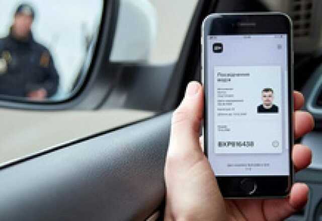 "Дія" тимчасово не повідомлятиме про штрафи за порушення ПДР: у чому причина