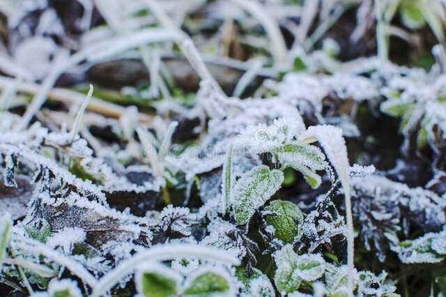 Ранней весной ждать не стоит: в Укргидрометцентре предупредили о возвращении морозов