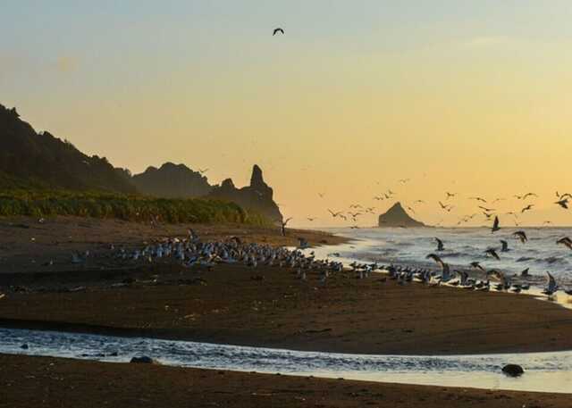 В районе Курильских островов произошло землетрясение магнитудой 5,8