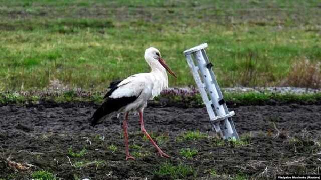 Якою буде посівна-2023 на Херсонщині? «Ракети на полях, робітники на фронті»