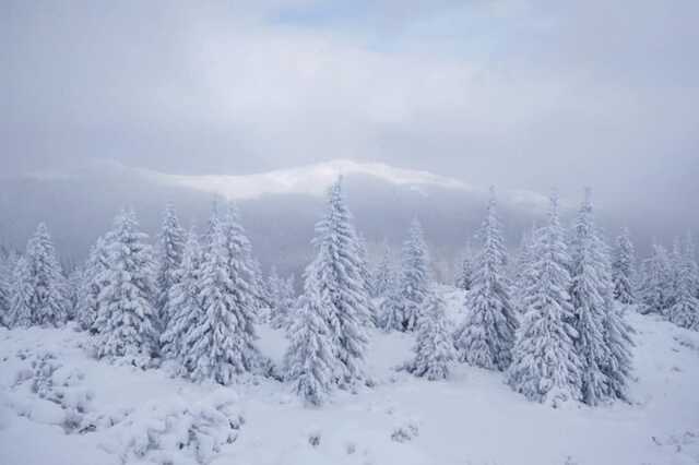В Карпатах выпало почти два метра снега