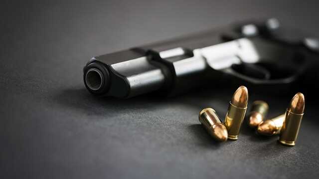 Естонія остаточно заборонила місцевим росіянам і білорусам володіти зброєю