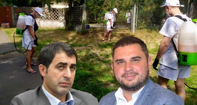 “Київзеленбуд” і амброзія: Нацполіція розслідує проєкт Мамояна з ліквідації бур’янів