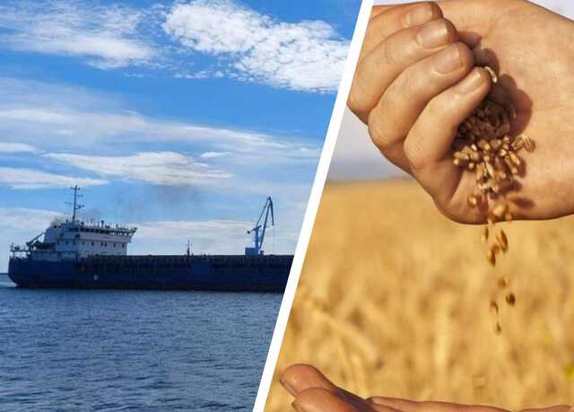 Трьом капітанам російських суден, котрі вивозили українське зерно, повідомили підозри