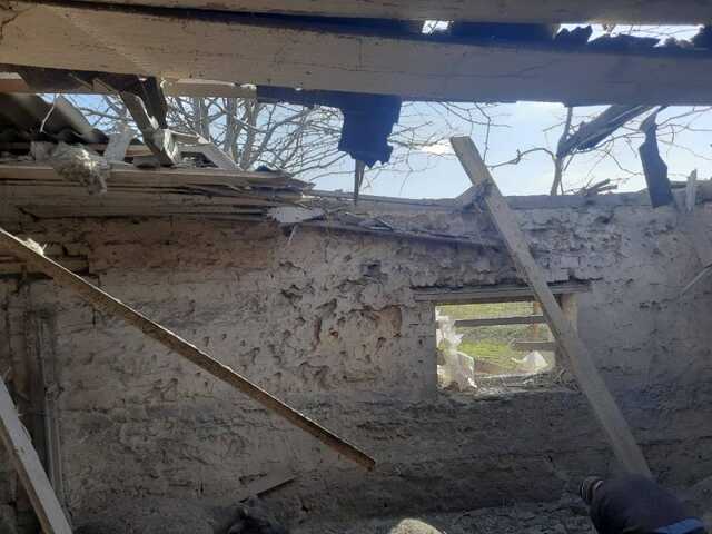 Оккупанты обстреляли Никопольский район и убили поголовье животных