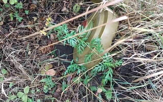 Ребенок травмировался на взрывном устройстве в Николаевской области, - полиция