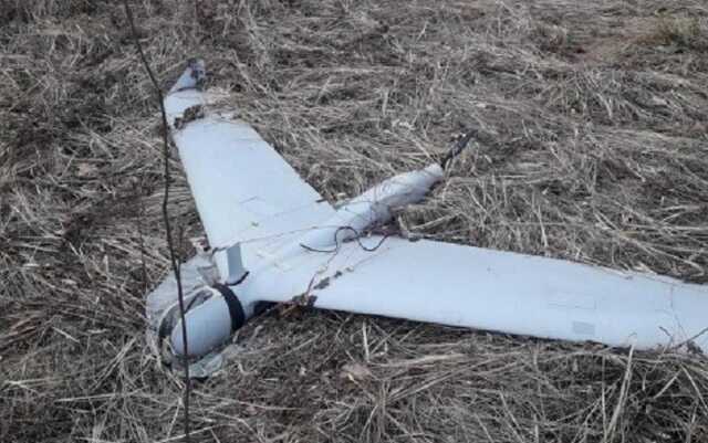 Українські військові збили російський безпілотник ZALA