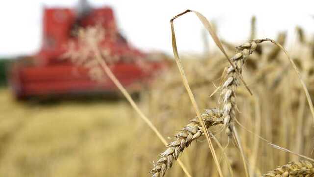 ООН призвала продлить "зерновое соглашение" на 120 дней