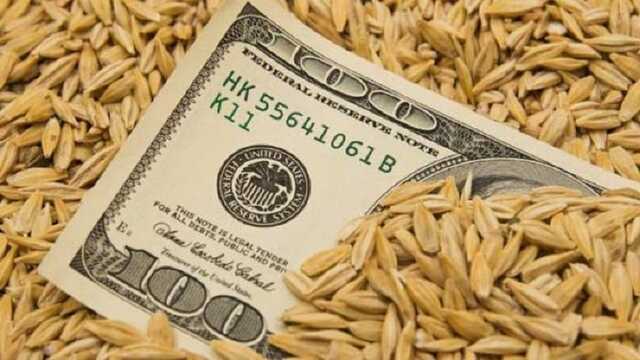 Чиновники обложили данью экспортеров зерна