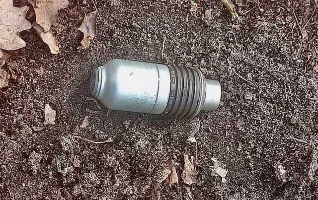 Під Києвом собака виявив гранату