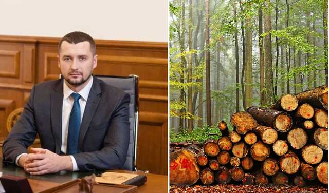 Схеми головного лісника України Юрія Болоховця