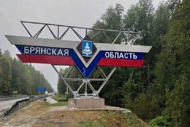 У Брянській області поскаржилися на атаку української ДРГ
